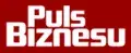 Puls Biznesu