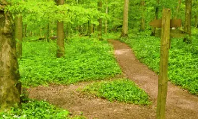 Szkolenie obsługa klienta wewnętrznego